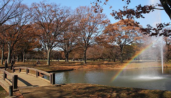 tips-tempat-menarik-tokyo