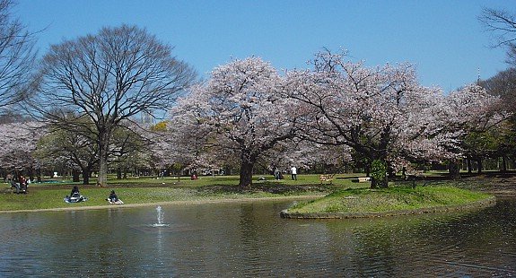 tips-tempat-menarik-tokyo