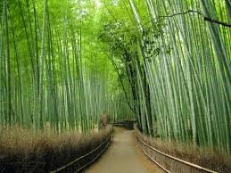 tempat-menarik-osaka-5