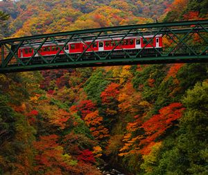 musim-luruh-7