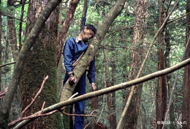 MISTERI HUTAN AOKIGAHARA