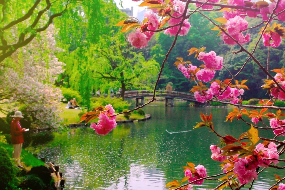 Shinjuku Gyoen National Garden