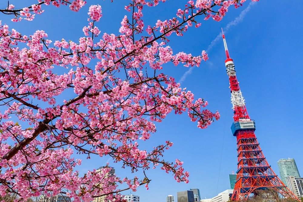 Tokyo Tower