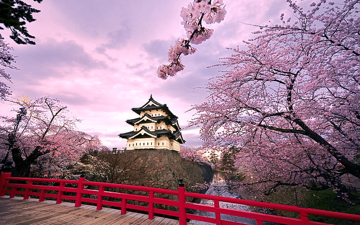 Nagoya Castle