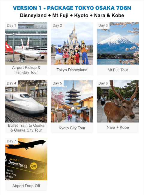 V1 TOKYO OSAKA 7D6N