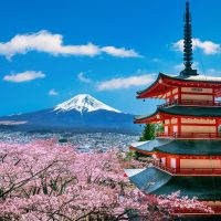 cherry-blossoms-spring-chureito-pagoda-fuji-mountain-japan.jpg